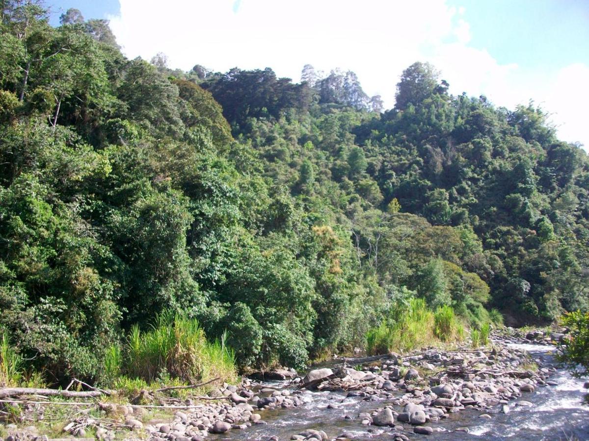 Kasaguadua - Reserva Natural Саленто Екстер'єр фото