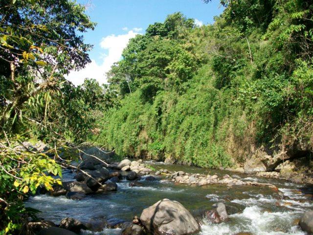 Kasaguadua - Reserva Natural Саленто Екстер'єр фото